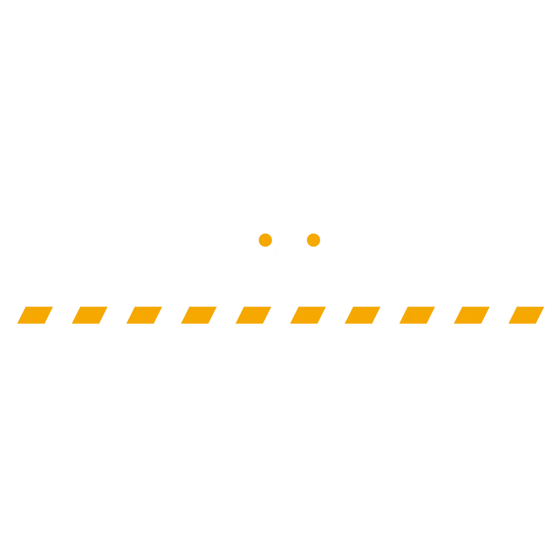 chamaleon logo